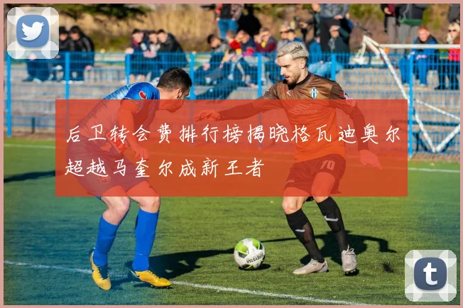 后卫转会费排行榜揭晓格瓦迪奥尔超越马奎尔成新王者