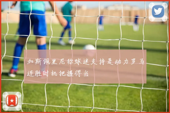 加斯佩里尼称球迷支持是动力罗马连胜时机把握得当